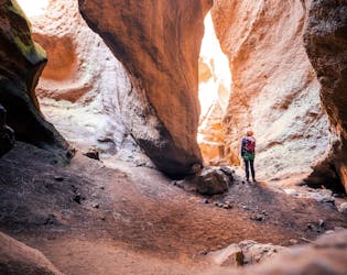 Half-day guided canyoning adventure in Tenerife